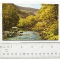 old postcard River Derwent, Borrowdale