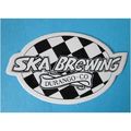 SKA Brewing Company Small oval beer sticker Dur...