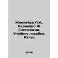 Junqueira L.C., Carneiro J Histology. Textbook. Atlas /Zhunkeyra L.K., Karneyro