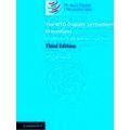Wto Dispute Settlement Procedures