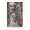 Queen Mary's Bower Hampton Court Palace Postcar...