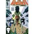 Punisher (Vol 1) # 025 NM MODERN AGE COMICS