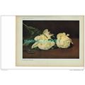 White Peonies, Edouard Manet , Book Illustratio...