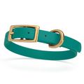 Dog Pet Collar with Brass Hardware Size XS W 1/...