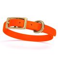 Dog Pet Collar with Brass Hardware Size XS W 1/...