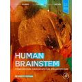 Human Brainstem