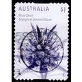 Australia 2015 Wildflowers $1.00 Used Stamp. Bl...