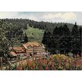Hotel Ruhestein Obertal Germany Postcard posted...