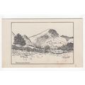 Robinson from Newlands C E Bartlett Sketch Art ...