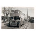 Black & White Photograph of Brighton, Hove & Di...