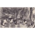 La Cueillette Des Violetts LL Postcard (F6754)