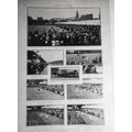 Oxford-Cambridge-Harvard-Yale Athletic Meeting,...