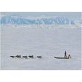 BET.G506: Dogsledding in West Greenland.