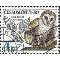 CZECHOSLOVAKIA, BIRD, Barn Owl, Tyto alba, brow...