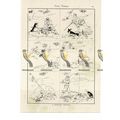 Shooting Episode, Victorian Cartoon, Book Illus...