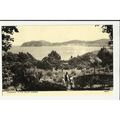 Wales LLANDUDNO Valley Gardens Postcard by Phot...