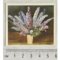 1937 Godfrey Phillips Flower Studies No. 1
