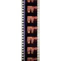 VAMPIRES. Pk MTP - A002b. 1 STRIP OF 5 - 35MM F...