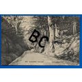 Postcard Blackwell Hollow East Grinstead Nr Cra...