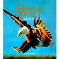 Birds of Prey - Hunters of the Sky by Alan Richards