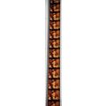 WIZARD OF OZ . Pk RED - c062J . 1 STRIP OF 10 -...