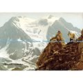 D025290 Pralognan. La Grande Casse. Bernard Gra...