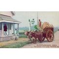 In Picturesque India The Bullock Cart & Texaco ...