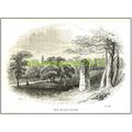 Rufus Stone in c1835, New Forest, England, c184...