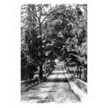 pu0280 - Crigglestone Bull Lane leading to High...