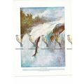 Salmon Leaping, Book Illustration (Print), c1925