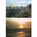Pilgrims Way Holy Island Northumberland Womens ...