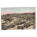 The Roman Encampment Cromer Postcard Norfolk