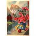 Glace, G Bonelli, Mountain & Flowers, Rare Phot...