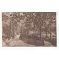 The Plantation Exmouth Postcard Devon