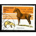 Afghanistan 1996 Horse 200AFG Used Stamp