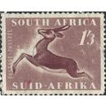 SOUTH AFRICA, MAMMAL, Springbok, Antidorcas mar...