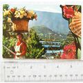 1972 postcard Puerto de la Cruz, Tenerife
