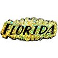 Florida Gold Prism Fridge Magnet