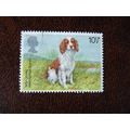 1979 GB Dogs Welsh Springer Spaniel fine used s...