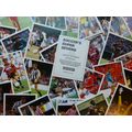 Panini Soccer's Super Sevens Stickers (1991) - ...