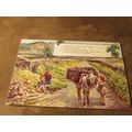 Valentines postcard - Ireland / Eire Greetings,...
