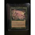 Midsummer Revel Urza's Saga Magic: The Gatherin...