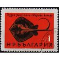 Bulgaria. 1965 1s S.G.1530 Used