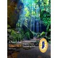 A Place Called Turkey Run