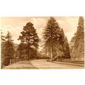 Dorking By Pass Road Via Deepdene Surrey Antiqu...
