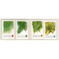 Christmas Island ASC 253-56 1989 Ferns Mint nev...