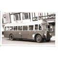 Black & White Photograph of Bristol Tramways & ...