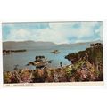 Loch Carron Plockton Postcard Ross-shire Scotla...