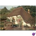 GB Postcard - Rose Cottage, Cockington, Torquay...