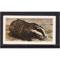 HORNIMANS PETS BADGER CUB No 8 Mint